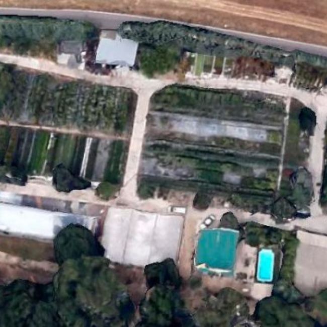 Vivero en San Sebastián de los Reyes